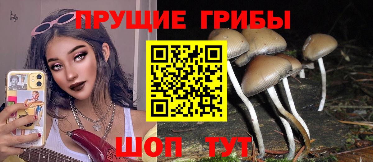Псилоцибиновые грибы GOLDEN TEACHER Десногорск
